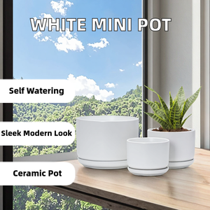Mini pot de fleurs cylindrique moderne blanc en céramique avec trou de drainage, écologique, auto-arrosant, suspendu, ensemble décoratif du Nouvel An avec plateau - Product Image 2