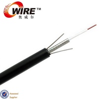 Factory Supply OEM Brand GYXTW Fiber Optic Cable 2-12 Cores Single Mode/Multimode Central Loose Tube Design ODN FTTH Network