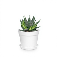 SwinDuck 28 Pack Pot Tanaman Kecil Tradisional 4 Inci, Pot Plastik dengan Lubang Drainase dan Alas, untuk Bunga, Tanaman, Sukulen, dan Bibit