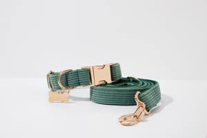 สายจูงสุนัขผ้าลูกฟูกสีเขียวในป่าสำหรับสุนัขเด็กหญิงชุดสายรัดปลอกคอและสายจูงสุนัข - Product Image 6