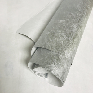 In Trên Dupont Tyvek Khử Trùng Cuộn Giấy Vải - Product Image 3