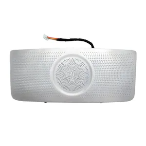 H247 64 Colors LED Roof Ceiling Lamp Speaker Reading Ambient Light For Mercedes Benz GLA-class X247