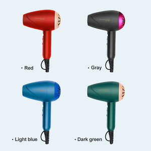 Trung Quốc Chức Năng Lạnh Không Khí 5kw Không Chổi Than 12V Dc Động Cơ Du Lịch Máy Sấy Tóc Với Lược Máy Sấy Tóc Và Volumizer Hot Air Brush - Product Image 1