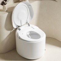 Inodoro Inteligente Eléctrico KD-S5B en Oferta, Varios Colores, Sanitario Inteligente Chaozhou, Múltiples Modos de Lavado, Asiento de Inodoro