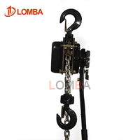 Clé à chaîne manuelle de haute qualité 1.5M 10Ton avec bloc de levage