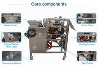 Machine à éplucher la peau, professionnelle de chine, noix, soja, cacao, haricots, noix de cajou, noyau d'arachide