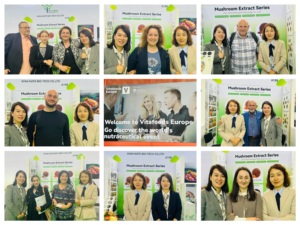 สารสกัดจากดอกคาโมมายล์ธรรมชาติ อะพิเจนิน 98% Cas 520-36-5 จำหน่ายจำนวนมาก - Product Image 6