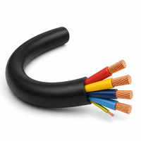 Kabel Daya Tembaga Berlapis Baja XLPE 0.6/1kV YJV YJV22 4x150mm2+1x70mm2 4x185mm2+1x95mm2 Berselubung 4 Inti