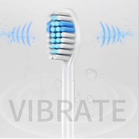 Cepillo de dientes eléctrico sónico ultrasónico inalámbrico, cepillo de dientes eléctrico suave, cabezal de cepillo reemplazable, Limpieza de dientes