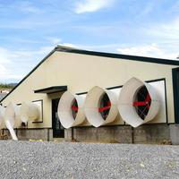 Prix d'usine – Équipement d'élevage de poulets entièrement automatique en structure acier – Bâtiment en structure acier pour poulailler