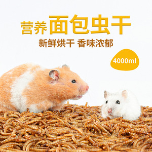 <b>Dried</b> <b>Mealworms</b> 4L Plastic Container For Hamsters Small Animal Food Reusable Feeder - Product Image 2