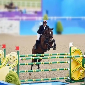 <span class=keywords><strong>Ostacoli</strong></span> Equestri Professionali dal Design Elegante, Costruiti per Scuole di Equitazione, Campi di Allenamento e Mostre Ippiche - Product Image 5