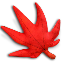 Cadeau de fête des mères en peluche feuille oreiller coussin mignon en peluche doux en forme de fleur oreiller