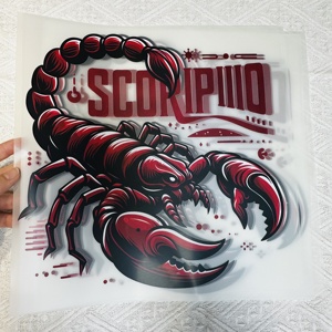 Vinilos Termoadhesivos de Dibujos Animados de Alta Calidad, Personalizados <span class=keywords><strong>para</strong></span> Transferencias, 12 Signos del Zodíaco, <span class=keywords><strong>para</strong></span> Uso en Prendas, Lavables - Product Image 5