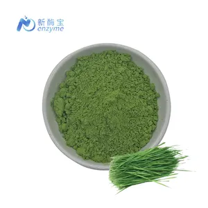 Novenzyme Supply Organic Super Green Powder Wheat Grass Juice Powder Wheat Grass Powder