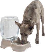 Distributeur d'eau pour animaux de compagnie de 3 gallons, brun perle, distributeur d'eau automatique par gravité, bol d'eau pour chats, chiens, animaux de compagnie de petite et moyenne taille