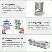 Mini-usine de traitement de la pâte de tomate entièrement automatique, ligne de production, moteur PLC, roulement, acier inoxydable de qualité alimentaire