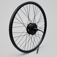 Kit de conversion de vélo électrique 48V 350W 30Ah, autonomie 130-150KM, batterie sur porte-bagages arrière, écran LCD, capteur de frein, accélérateur à pouce, capteur PAS