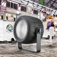 BOTAI 250W COB LED PAR Lumière Blanc Chaud Conception De Matrice Dorée Mobile RGBW Laser Lumières DMX512 Contrôle pour Sortie Lisse pour DJ