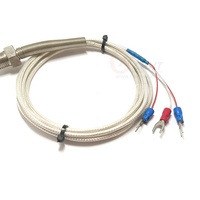 Sonde thermique en platine HY RTD PT100 PT1000 -200-400°C en acier inoxydable, forme à vis, anneau, broche, OEM