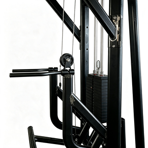 BL2006 Appareil de fitness multifonctionnel réglable et très vendu, station d'entraînement intégrée multi-positions pour le renforcement du dos, usage commercial - Product Image 3