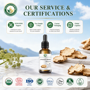Absolue de racine d'angélique de qualité supérieure (Angelica Archangelica) certifiée naturelle, arôme épicé, conformité mondiale pour la parfumerie - Product Image 4