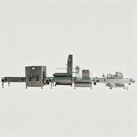 Ligne de machines de remplissage, de bouchage et d'étiquetage entièrement automatiques à servo-moteur linéaire Ding Yan pour shampoing, lotion, crème, huile, détergent