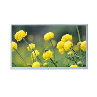 Écran LCD haute définition de 9,0 pouces 1280*720, interface LVDS, luminosité de 900 nits, écran LCD TFT de contrôle central en véhicule