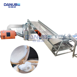Professional Continuous Mesh Belt Coconut Meat Dryer Fruit Drying Machine Coconut Dehydration Machine in Philippines - Product Image 1
