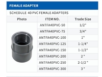 1/2 "PVC Schedule 40 Adaptateur femelle Raccord de conduit Raccord électrique non métallique Connecteur en plastique fileté