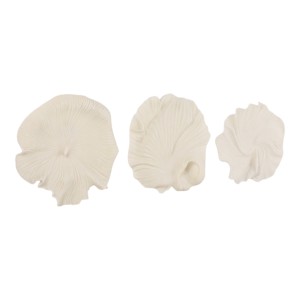 Arte Murale in Resina a Forma di Conchiglia, Sculture Organiche Incorniciate per Decorazione Casa - Product Image 3