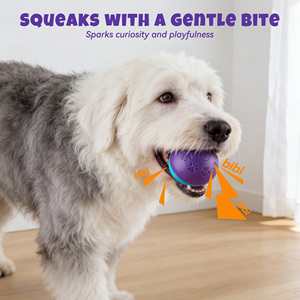 Jouet interactif pour animaux de compagnie en matériau TPR 2026 : Balles sonores creuses pour chien, jouet à mâcher et distributeur de nourriture - Product Image 5