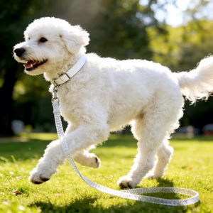 Nuevo Estilo Personalizado y Moderno, MOQ Bajo, Personalización, Juego de Correa y <span class=keywords><strong>Collar</strong></span> de Microfibra para Perros Medianos y Grandes - Product Image 1