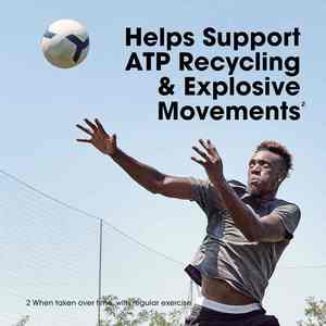 100% puro micronizzato di creatina monoidrato in polvere capsule di potenza muscolare per adulti integratori di creatina - Product Image 2