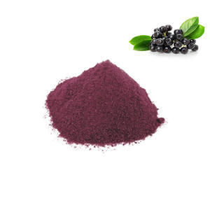 Extrait de fruit séché de sureau sauvage (<span class=keywords><strong>Aronia</strong></span>) en poudre, testé UV, emballé sous vide en fût, complément alimentaire de sureau <span class=keywords><strong>noir</strong></span> extraits - Product Image 2