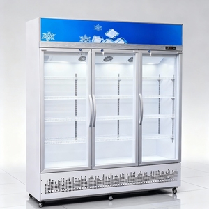 <span class=keywords><strong>Réfrigérateur</strong></span> à boissons de supermarché commercial de haute qualité avec porte en verre, refroidissement direct, refroidisseur à vin mécanique - Product Image 6