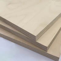 Meilleure qualité contreplaqué de bouleau 3mm-18mm feuille 1525*3050 bois naturel 100% contreplaqué de bouleau baltique design industriel pour cuisine hôtel