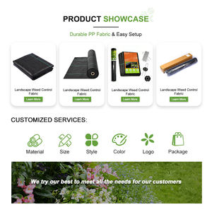 Tapis <span class=keywords><strong>anti</strong></span>-mauvaises herbes respirant en PP personnalisé, barrière <span class=keywords><strong>anti</strong></span>-mauvaises herbes de qualité horticole, tissu <span class=keywords><strong>anti</strong></span>-herbe pour jardin, serre - Product Image 4