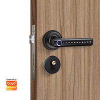Kunci Pintu Pintar Aluminium Kontrol Aplikasi Tuya TTLock IOS/Android Sidik Jari BLE/WiFi Kata Sandi Tanpa Kunci