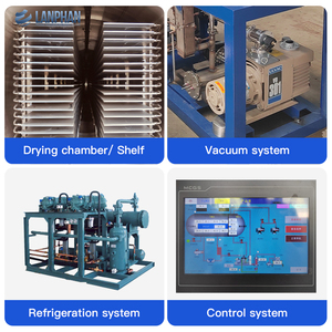 เครื่องอบแห้งไลโอฟิลิไซเซอร์สุญญากาศสำหรับสัตว์เลี้ยง50กก. 100กก. 200กก. เครื่องอบแห้งเนื้อ - Product Image 3