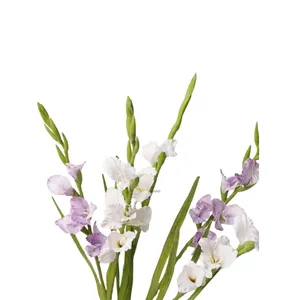 Fleurs artificielles en soie de qualité supérieure, gladiolus et orchidées à tige unique, pour décorations de mariage, de remise de diplômes et du Nouvel An chinois - Product Image 5