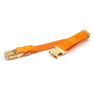 Prodotti di tendenza tik <span class=keywords><strong>tok</strong></span> fibbia in oro 2025 guinzaglio arancione porta cacca per cani dispenser in velluto personalizzato collare per cani da addestramento - Product Image 5