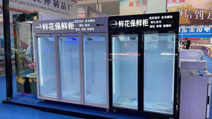 Armoire de rangement verticale pour fleurs, armoire réfrigérée sur mesure adaptée aux fleurs fraîches en été - Product Image 2