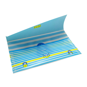 Cartella Portadocumenti in Plastica PP con Adesivo Personalizzato, Porta Documenti Auto, Cartelle Trasparenti <span class=keywords><strong>A4</strong></span> di Qualità, Buste Stampate - Product Image 1
