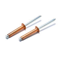 Vente Flash : Rivets Aveugles en Acier Inoxydable Zingué Certifiés ISO15977, Tailles Multiples (3mm, 4mm, 4.8mm)