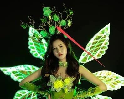 enchanted forest fairy costume plus size