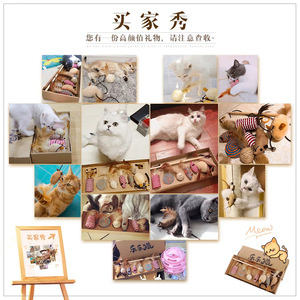 Coffret cadeau pour chat, 7 pièces, jouets à mâcher durables pour le divertissement et le jeu des chatons - Product Image 4