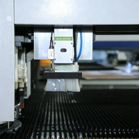 Machine de découpe et de poinçonnage CNC de haute précision ERL-300, machine à poinçonner à tourelle servo-électrique, machine laser composite