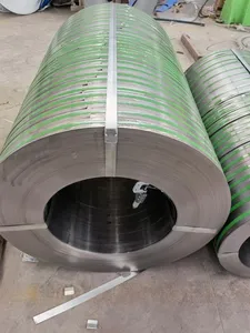 Di alta qualità PPGI galvanizzato/in acciaio zincato spirale 3005 6005 colore rivestito in acciaio bobina PPGI PPGL