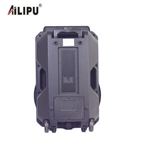 Système d'amplificateur de lecteur audio à chariot portable personnalisé de 15 pouces avec fonction de karaoké pour une utilisation à domicile <span class=keywords><strong>KJ</strong></span> - Product Image 3